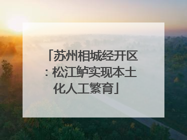 苏州相城经开区：松江鲈实现本土化人工繁育