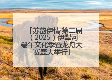 苏韵伊情·第二届（2025）伊犁河端午文化季暨龙舟大赛盛大举行