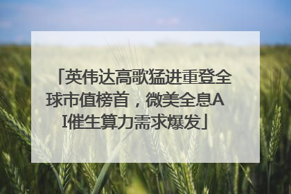 英伟达高歌猛进重登全球市值榜首，微美全息AI催生算力需求爆发