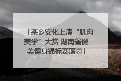 茶乡安化上演“肌肉美学”大赏 湖南省健美健身锦标赛落幕
