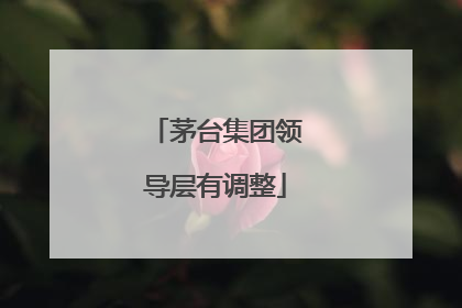 茅台集团领导层有调整