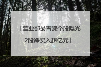 营业部最青睐个股曝光 2股净买入超亿元