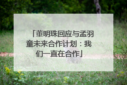 董明珠回应与孟羽童未来合作计划：我们一直在合作
