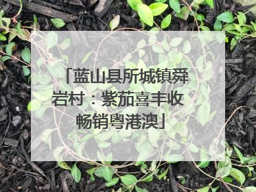 蓝山县所城镇舜岩村：紫茄喜丰收 畅销粤港澳