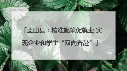 蓝山县：精准施策促就业 实现企业和学生“双向奔赴”