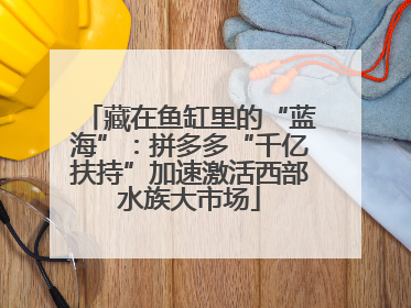 藏在鱼缸里的“蓝海”：拼多多“千亿扶持”加速激活西部水族大市场