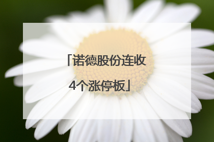 诺德股份连收4个涨停板