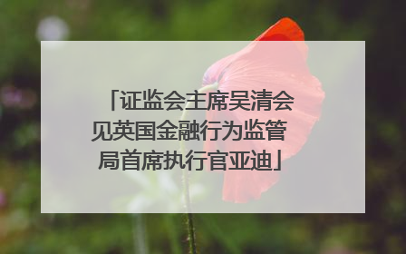 证监会主席吴清会见英国金融行为监管局首席执行官亚迪