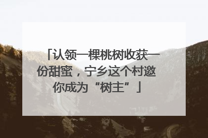 认领一棵桃树收获一份甜蜜，宁乡这个村邀你成为“树主”