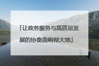 让政务服务与高质量发展的协奏曲响彻大地