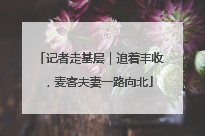 记者走基层｜追着丰收，麦客夫妻一路向北
