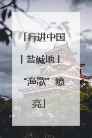 行进中国丨盐碱地上“渔歌”嘹亮