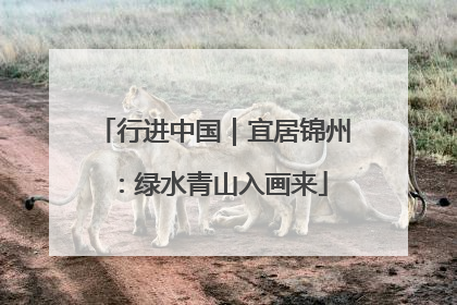 行进中国｜宜居锦州：绿水青山入画来