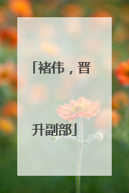 褚伟，晋升副部