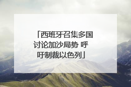 西班牙召集多国讨论加沙局势 呼吁制裁以色列