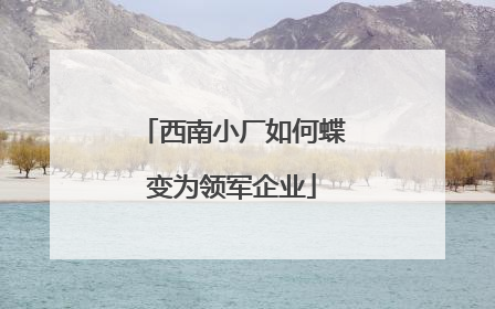 西南小厂如何蝶变为领军企业