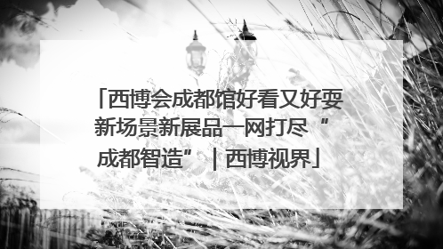 西博会成都馆好看又好耍 新场景新展品一网打尽“成都智造”｜西博视界