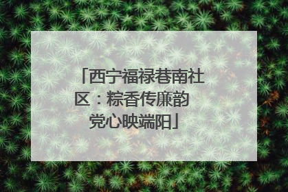 西宁福禄巷南社区：粽香传廉韵 党心映端阳