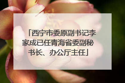 西宁市委原副书记李家成已任青海省委副秘书长、办公厅主任