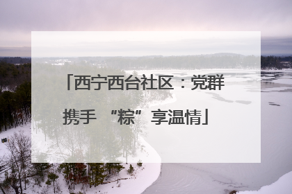 西宁西台社区：党群携手 “粽”享温情