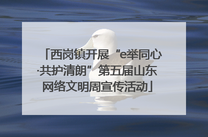 西岗镇开展“e举同心·共护清朗”第五届山东网络文明周宣传活动