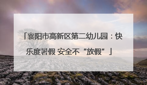 襄阳市高新区第二幼儿园：快乐度暑假 安全不“放假”