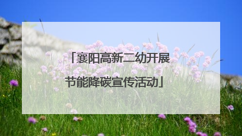 襄阳高新二幼开展节能降碳宣传活动
