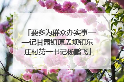 要多为群众办实事——记甘肃镇原孟坝镇东庄村第一书记杨鹏飞