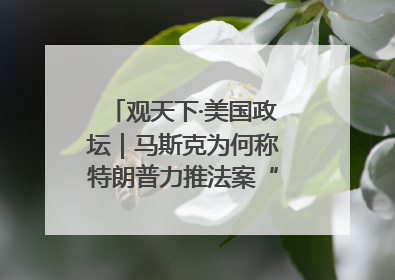 观天下·美国政坛｜马斯克为何称特朗普力推法案“令人作呕”