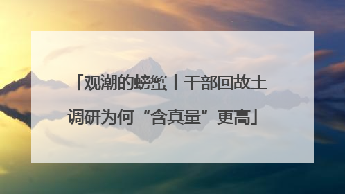 观潮的螃蟹丨干部回故土调研为何“含真量”更高
