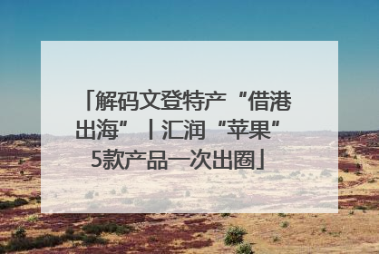 解码文登特产“借港出海”丨汇润“苹果”5款产品一次出圈