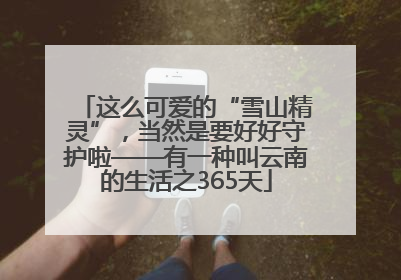 这么可爱的“雪山精灵”，当然是要好好守护啦——有一种叫云南的生活之365天