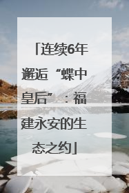 连续6年邂逅“蝶中皇后”：福建永安的生态之约