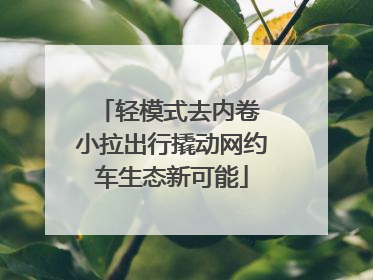 轻模式去内卷 小拉出行撬动网约车生态新可能