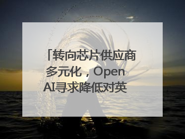 转向芯片供应商多元化，OpenAI寻求降低对英伟达依赖