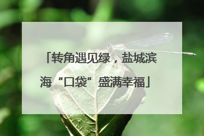 转角遇见绿，盐城滨海“口袋”盛满幸福