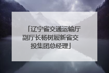 辽宁省交通运输厅副厅长杨树履新省交投集团总经理