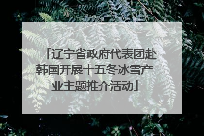 辽宁省政府代表团赴韩国开展十五冬冰雪产业主题推介活动