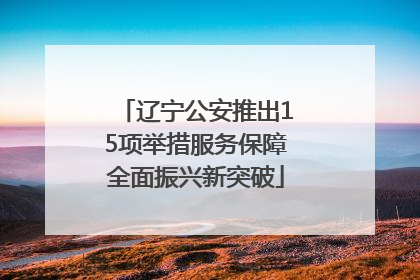 辽宁公安推出15项举措服务保障全面振兴新突破