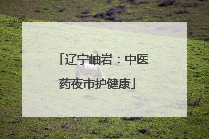 辽宁岫岩：中医药夜市护健康