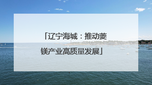 辽宁海城：推动菱镁产业高质量发展