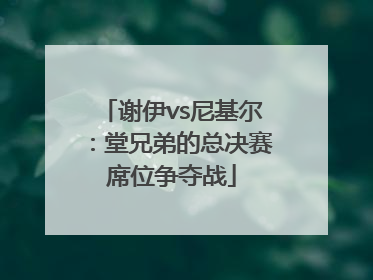 谢伊vs尼基尔：堂兄弟的总决赛席位争夺战