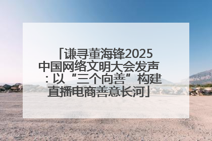 谦寻董海锋2025中国网络文明大会发声：以“三个向善”构建直播电商善意长河