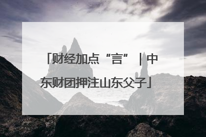 财经加点“言”｜中东财团押注山东父子