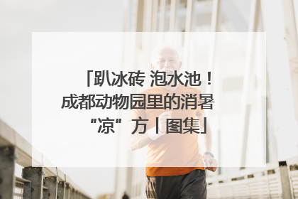 趴冰砖 泡水池！成都动物园里的消暑“凉”方丨图集