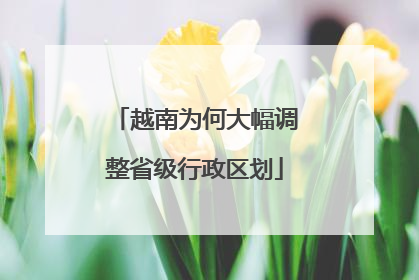 越南为何大幅调整省级行政区划