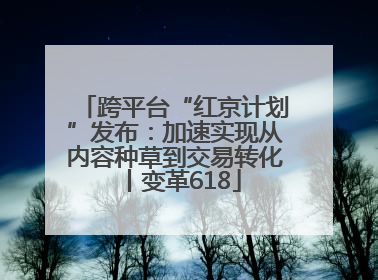 跨平台“红京计划”发布：加速实现从内容种草到交易转化丨变革618