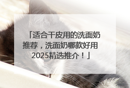 适合干皮用的洗面奶推荐，洗面奶哪款好用2025精选推介！