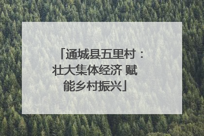 通城县五里村：壮大集体经济 赋能乡村振兴