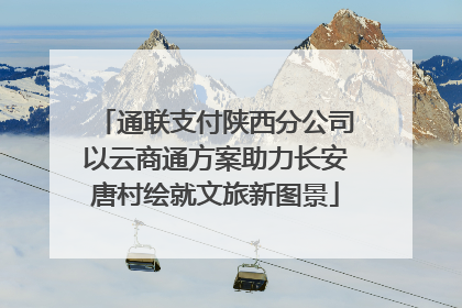 通联支付陕西分公司以云商通方案助力长安唐村绘就文旅新图景